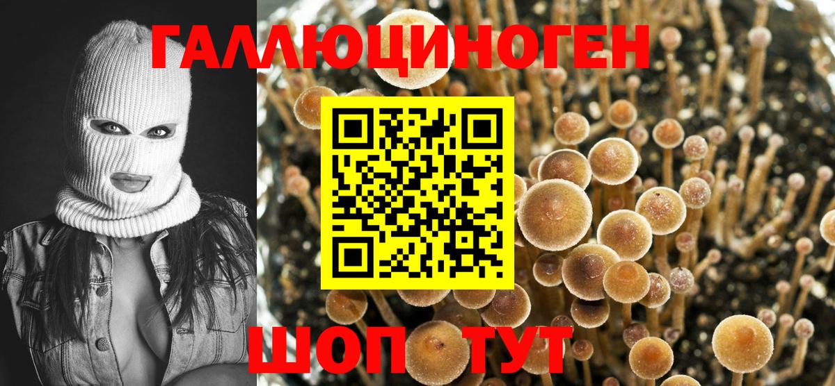 Красный Сулин  Галлюциногенные грибы MAGIC MUSHROOMS  Вход с VPN 