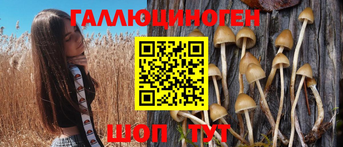 Псилоцибиновые грибы Psilocybine cubensis Красный Сулин