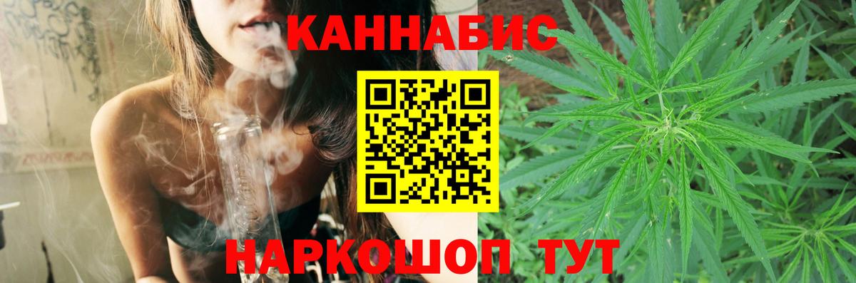 Бошки марихуана OG Kush Красный Сулин